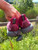 Used Adidas Performance Shoes 7 60084-S000941265 View 4