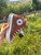 Used Converse Casual Shoes 7 60084-S000941274 View 5