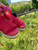 Used Sorel Wedge Sandals 6 60084-S000941357 View 4
