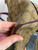 Used Coach Large Leather Handbag 60072-S000594647 View 15