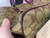 Used Coach Large Leather Handbag 60072-S000594647 View 20