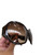 Used Coach Sunglasses 60119-S000115880 View 8
