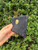 Used Coach Wristlet 60067-S000826584 View 16