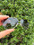 Used Ralph Lauren Sunglasses 60067-S000826622 View 3