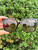 Used Tory Burch Sunglasses 60067-S000826658 View 1