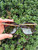 Used Tory Burch Sunglasses 60067-S000826658 View 3