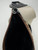 Used Coach Small Handbag 60006-S001230163 View 3