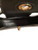 Used Dooney & Bourke Small Leather Handbag 60069-S000785201 View 4