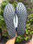 Used Gucci Mens Sneakers 10.5 60067-S000826927 View 5