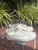 Used Gucci Casual Shoes 6.5 60067-S000827058 View 3