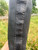 Used Frye Tall Boots 9 60084-S000942594 View 5