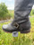 Used Frye Tall Boots 9 60084-S000942632 View 6