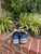 Used Golden goose blue athletic casual shoe 10.5 60067-S000827315 View 4