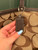 Used Coach Xlarge Leather Handbag 60084-S000942663 View 3