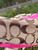 Used Coach Xlarge Handbag 60084-S000942662 View 9
