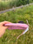 Used Kate Spade New York Wristlet 60084-S000942694 View 6