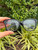 Used Gucci Glasses 60067-S000827332 View 2