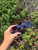 Used Marc Jacobs blue Sunglasses 60067-S000827343 View 1