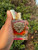 Used Dolce & Gabbana Perfume 60067-S000827937 View 4