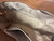 Used Michael Michael Kors Xlarge Handbag 60084-S000944146 View 6