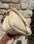 Used Coach Tabby Handbag 60067-S000828108 View 8