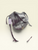 Used Lodis Large Leather Handbag 60032-S000709134 View 2