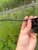 Used Ray-Ban Sunglasses 60084-S000944812 View 8