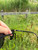 Used Ray-Ban Sunglasses 60084-S000944812 View 7