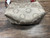Used Coach Small Handbag 60004-S000676684 View 4