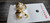 Used Lele Sadoughi Earrings 60032-S000709315 View 4