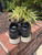 Used coach Casual Shoes 7.5 60067-S000828323 View 4