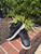 Used coach Casual Shoes 7.5 60067-S000828323 View 1