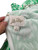 Used Lilly Pulitzer Short Dress F M-8/10 60099-S000381486 View 3