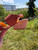 Used Kork-Ease Wedge Sandals 7 60084-S000946126 View 4