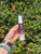 used Ellis Brooklyn Vanilla Sin Perfume 60067-S000828545 View 2