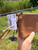 Used Coach Leather Wallet 60084-S000946297 View 3