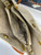 Used Antik Kraft Small Handbag 60124-S000208568 View 4