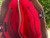 Used Dooney & Bourke Xlarge Leather Handbag 60031-S000857610 View 2