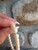 Used Tiffany & Co. Bracelet 60067-S000828714 View 4