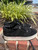 Used Jimmy Choo Casual Shoes 60067-S000828723 View 2