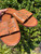 Used Tory Burch Sandals 60067-S000828788 View 7