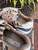 Used Burberry Casual Shoes 60067-S000828834 View 9