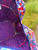 Used Vera Bradley Xlarge Handbag 60084-S000947005 View 9