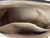 Used See By Chloe Large Leather Handbag 60047-S000637557 View 5