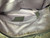 Used Unbranded Small Handbag 60107-S000340679 View 4