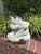 Used Prada Sneakers 9 60067-S000829015 View 1