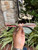 Used Gucci Sunglasses 60067-S000829019 View 2