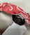 Used Coach Lightweight Scarf 60006-S001236489 View 3
