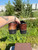 Used Dansko Clogs 9.5 60084-S000947812 View 5