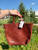 Used Small Portland Leather Handbag 60084-S000947869 View 2